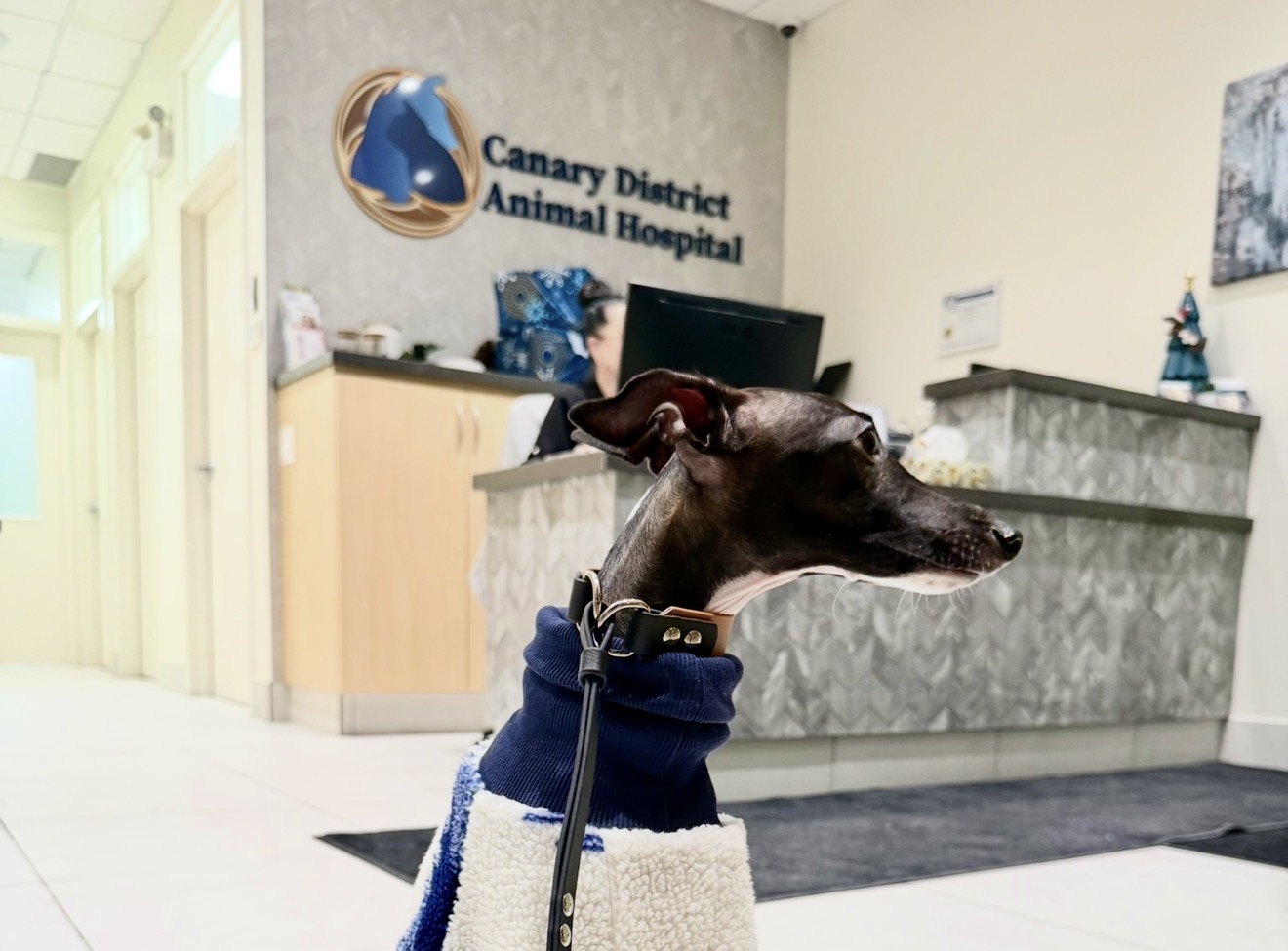 Canary District Animal Hospital