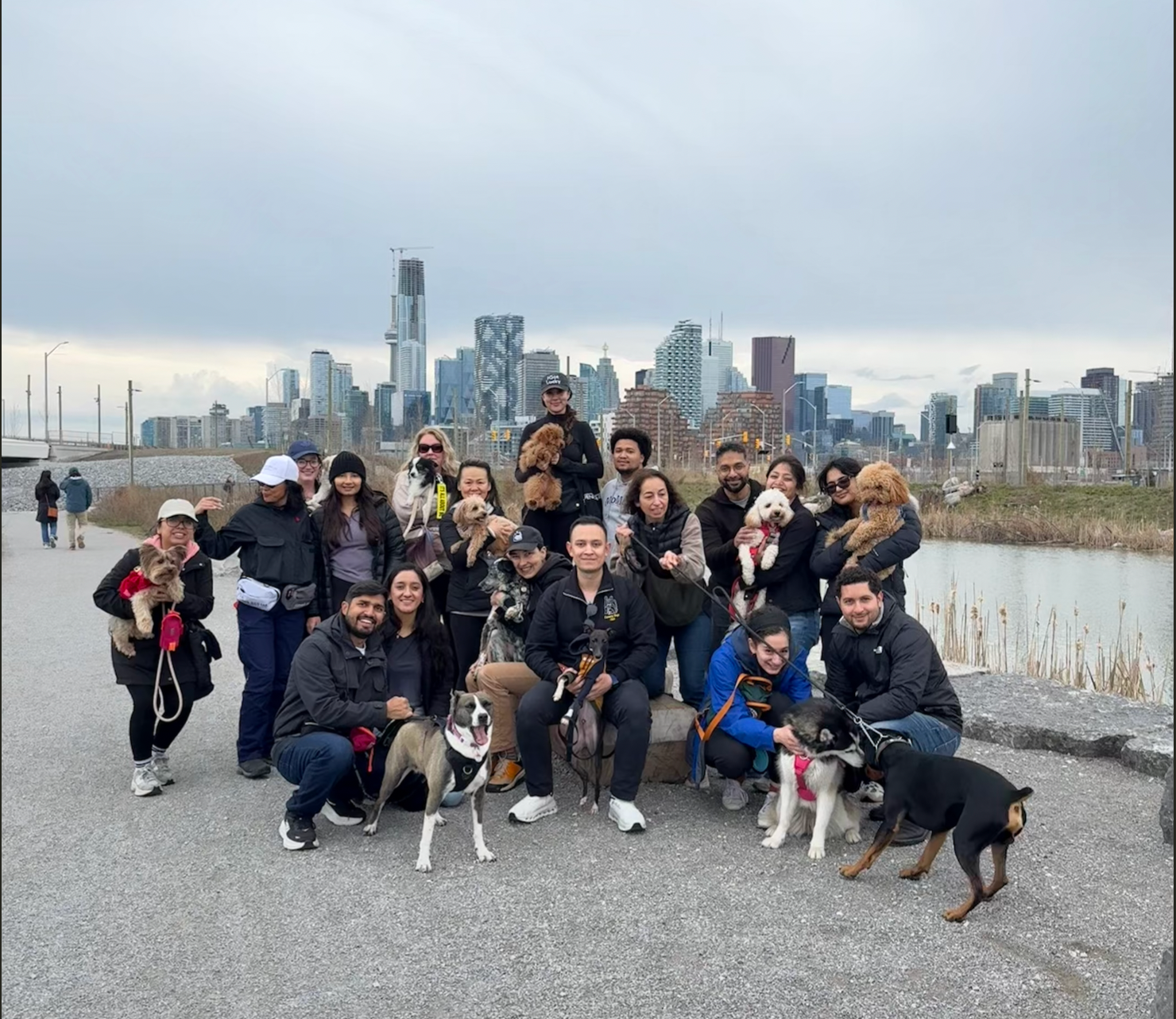 DCT Pack Walk