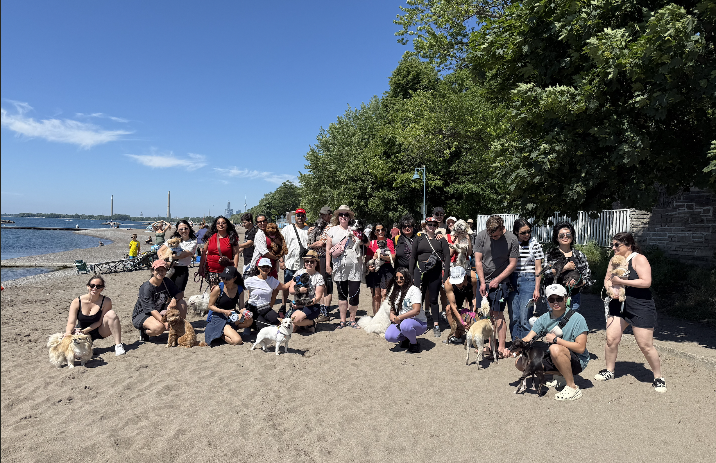 DCT Pack Walk