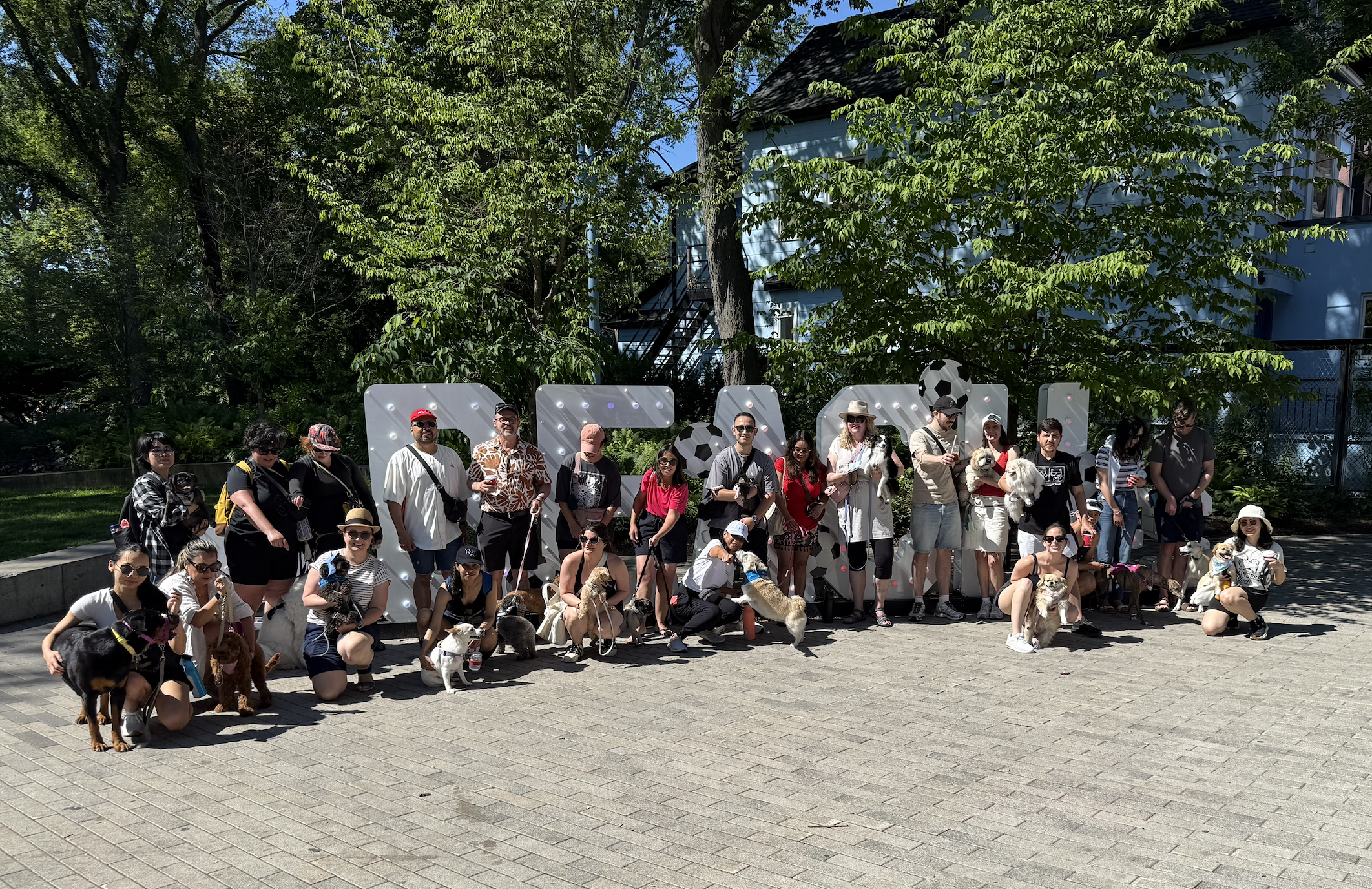 DCT Pack Walk