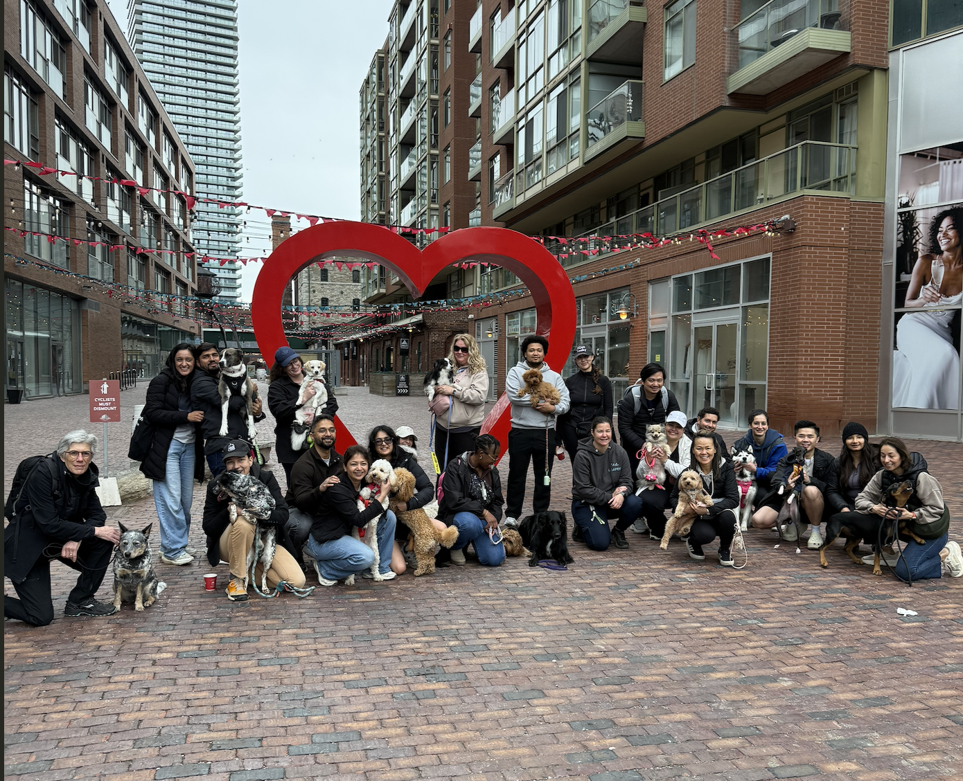 Pack walk photo 4