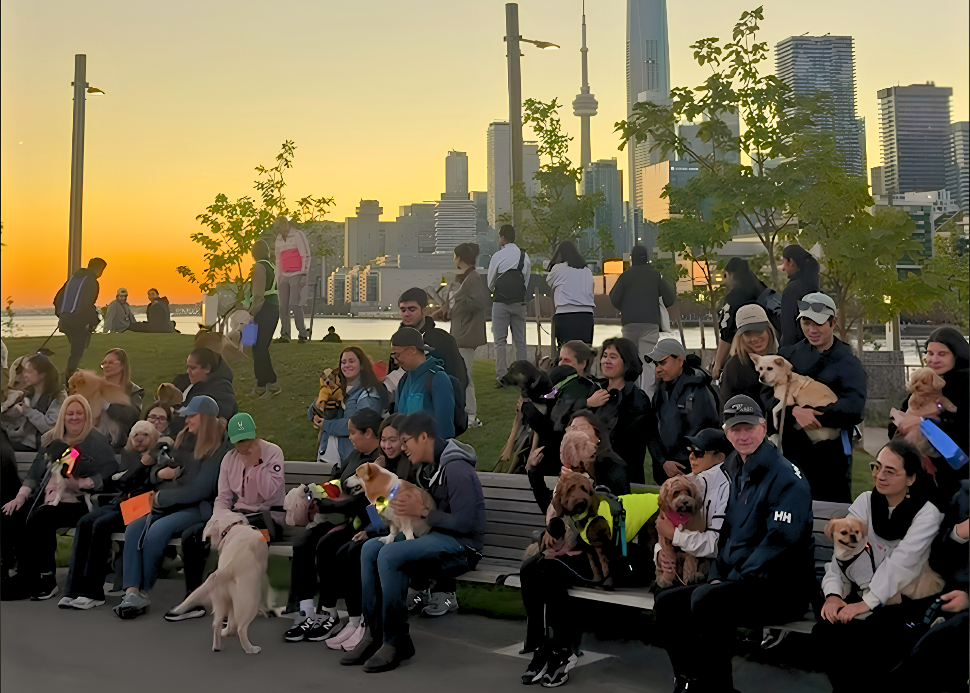Sunset & City Lights Pack Walk